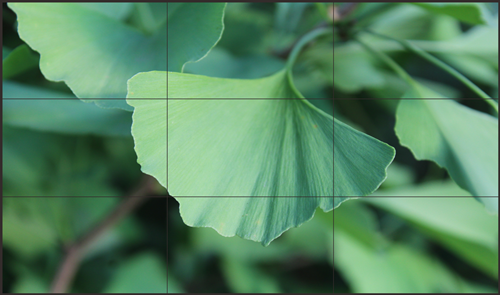 一般在会议室使用哪些显示大屏比较适合？